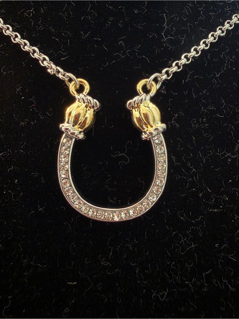 Gold and Silver Crystal Horseshoe Pendant Necklace - Women